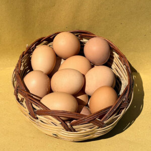 Uova Azienda agricola bacciotti