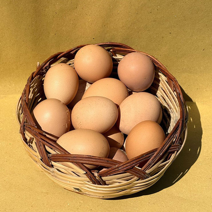 Uova Azienda agricola bacciotti