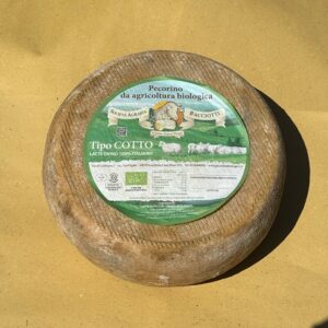 Pecorino biologico Tipo cotto